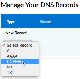 CNAME is selected from the Select Record drop-down list.