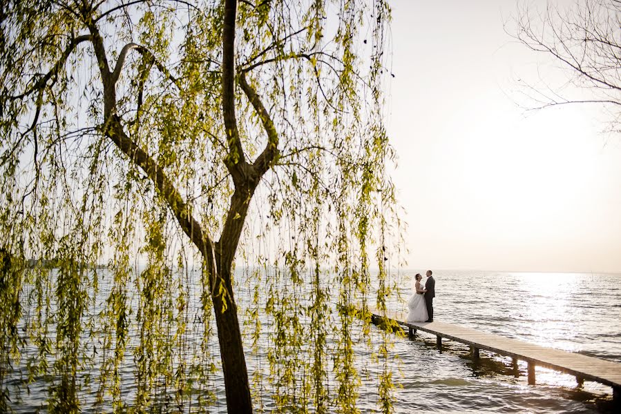 Fotografo di matrimoni Tiziana Nanni (tizianananni). Foto del 24 settembre 2016