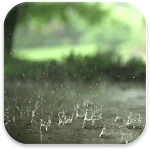 Cover Image of 下载 Real Rain Live Wallpaper 2.1 APK