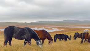 St. Pierre & Miquelon thumbnail