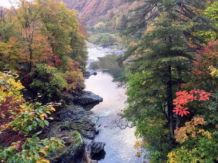 プリウスのドライブ・紅葉狩り🍁🍂・温泉♨️に関するカスタム事例の投稿画像6枚目
