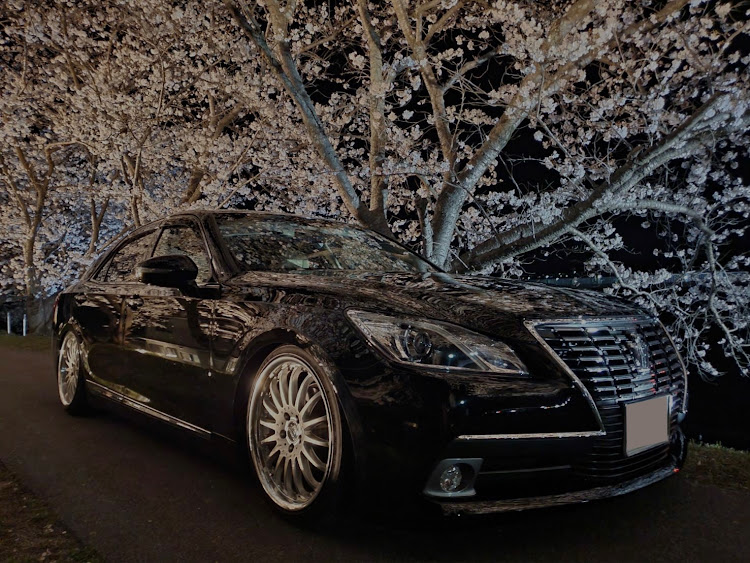 クラウンロイヤルの桜とコラボ・サクラと愛車・クラウンロイヤル・桜・目指せPickUpCarsに関するカスタム事例の投稿画像1枚目