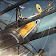 Air Battle icon