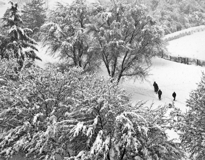 neve-a-milano di nebbia