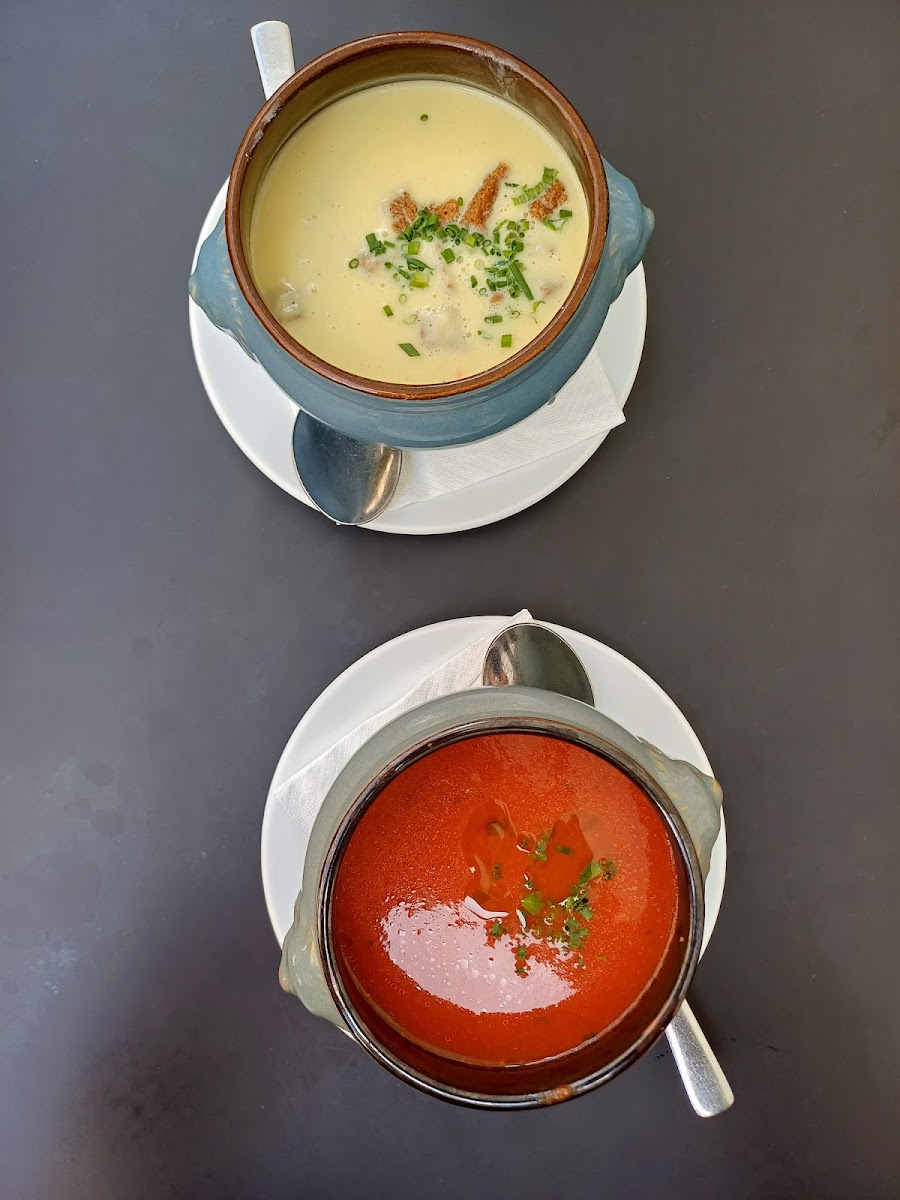 Asparagus/coconut soup and tomato soup