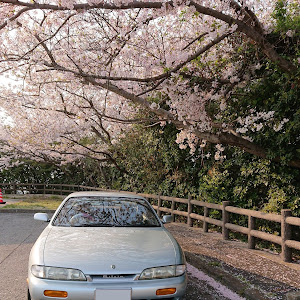シルビア S14 前期