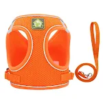 style B Orange