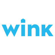 control wink with google assistant