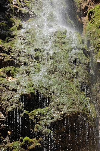 Acqua nascerà di zik_nik