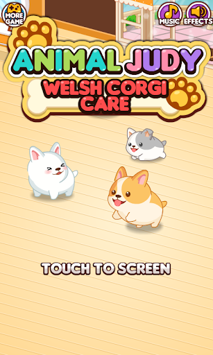 Animal Judy: Welsh Corgi care