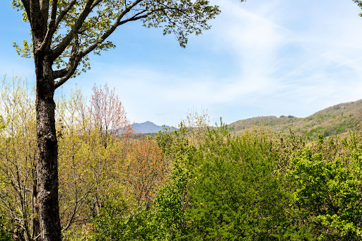 Wooded hills landscape and blue sky in this luxury house for sale in Blowing Rock ($1,275,000)