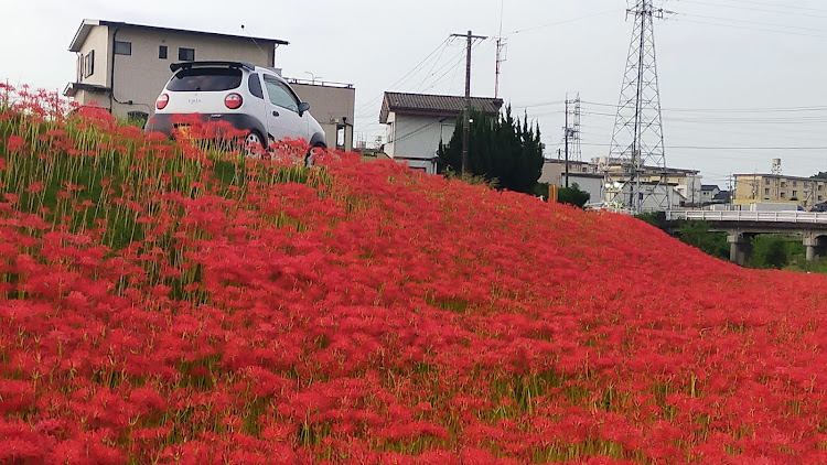 の投稿画像6枚目