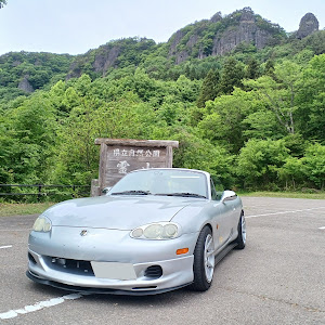 ロードスター NB6C