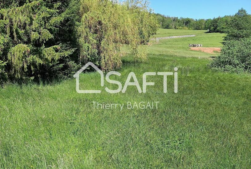  Vente Terrain à bâtir - 4 508m² à Coinches (88100) 