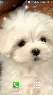 Puppies Live Wallpaper(圖6)-速報App