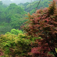 台北奧萬大樂活莊園