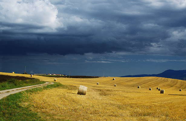 Giallo e blu di Amadeus