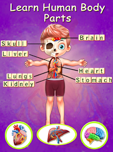 Kids Body Parts Learning(圖1)-速報App