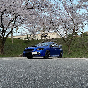 WRX STI VAB