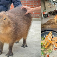 春水堂人文茶館