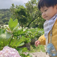 【竹子湖】苗榜花園餐廳