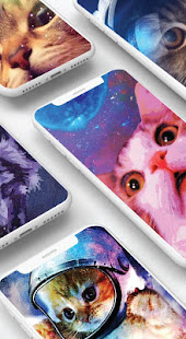 Space Cat Wallpaper 4K(圖3)-速報App
