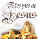 Estudios Biblicos icon