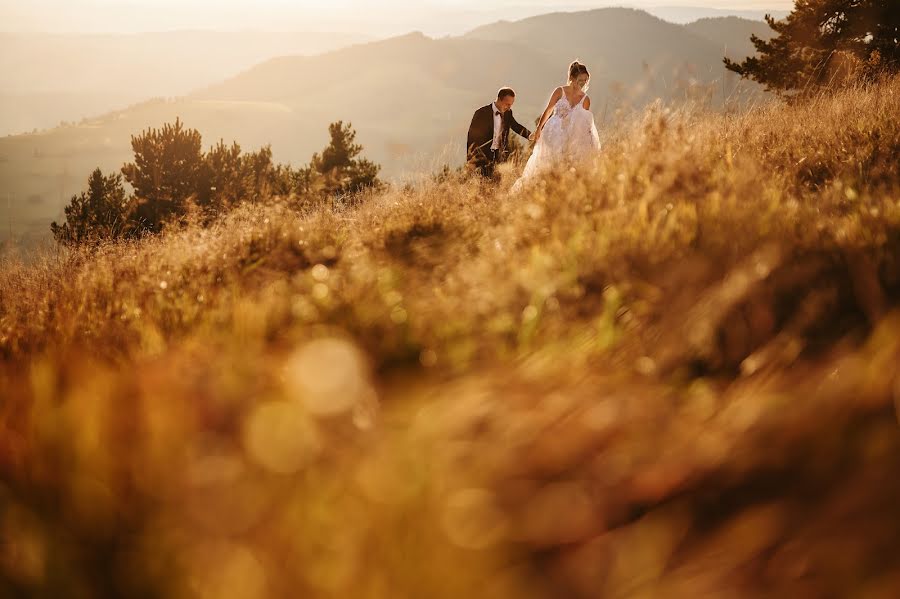 Fotógrafo de casamento Marcin Kamiński (marcinkaminski). Foto de 16 de novembro 2021