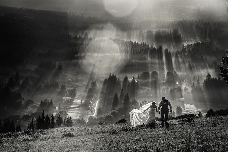 Fotógrafo de casamento Paweł Kowalewski (kowalewski). Foto de 5 de dezembro 2017