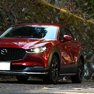 CX-30 DM8P