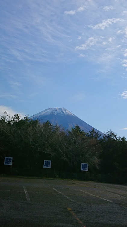 の投稿画像11枚目