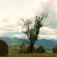 Il guardiano della campagna di 