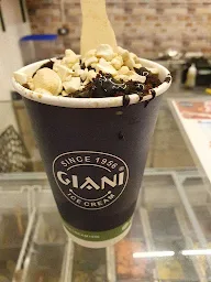 Giani's Ice Cream photo 2