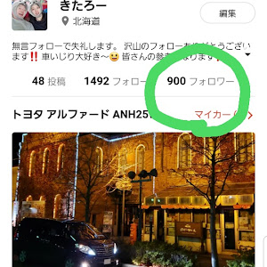 アルファード ANH25W