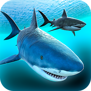 Sea Shark Adventure Game Free