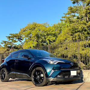 C-HR ZYX10