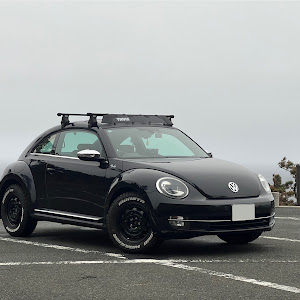 ザ・ビートル  16CBZ