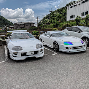 スープラ