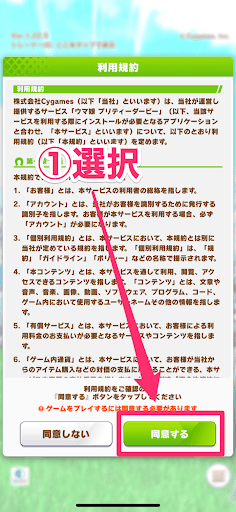 利用規約に同意する