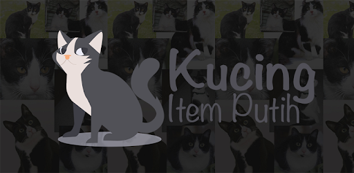 Kucing Item Putih