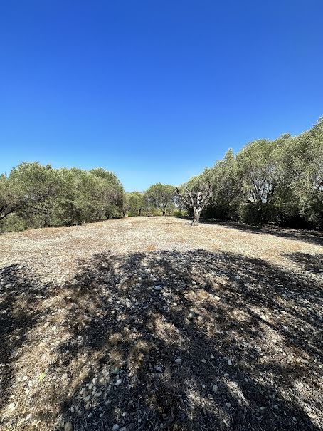 Vente terrain  1173 m² à Saint roman de bellet (06200), 440 000 €