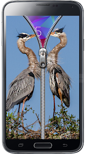 免費下載生活APP|Bird Zipper Screen Lock app開箱文|APP開箱王