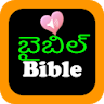 Telugu English Audio Bible Pro icon