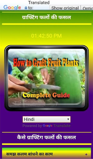 How to Graft Fruit Plants