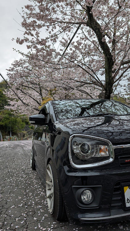アルトワークスのサクラと愛車に関するカスタム事例の投稿画像2枚目