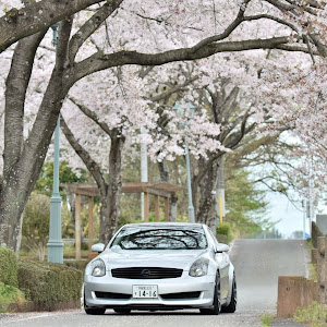 スカイラインクーペ V35