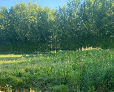 Vente terrain à batir  1500 m² à Saint-Cyr-du-Ronceray (14290), 55 000 €