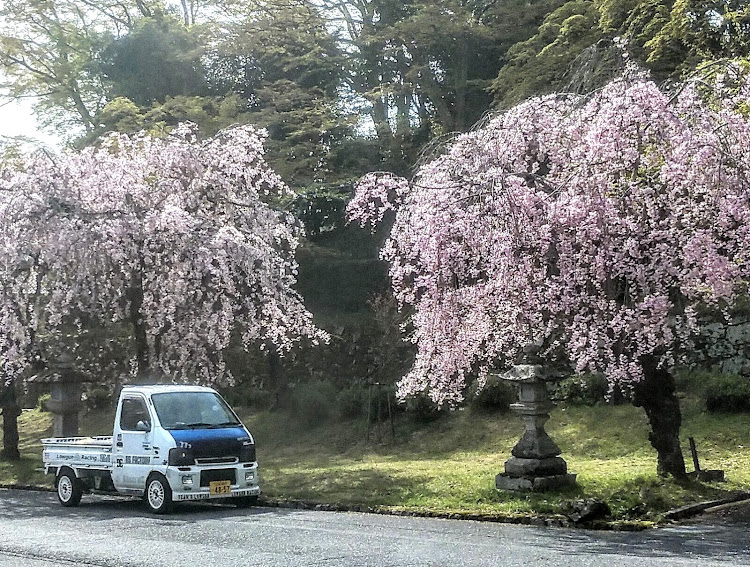 の投稿画像2枚目