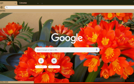 Kaffir Lily screenshot 1