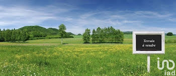 terrain à Haute-Goulaine (44)